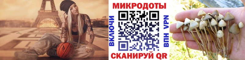 купить наркотики цена  Усть-Лабинск  сайты даркнета наркотические препараты  Галлюциногенные грибы MAGIC MUSHROOMS  omg ссылка 